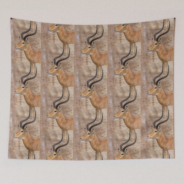 Item preview, Close-up of a Male Impala (Aepyceros melampus) designed and sold by Yair Karelic.