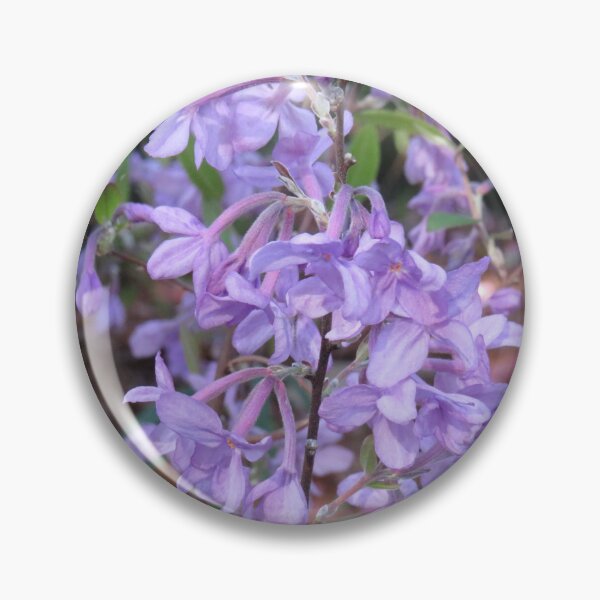 Item preview, Daphne genkwa flowers designed and sold by greentiger1.