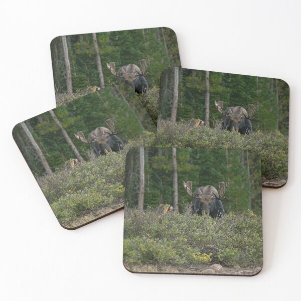 Item preview, Moose Eating Dinner  designed and sold by TMPhotograph.