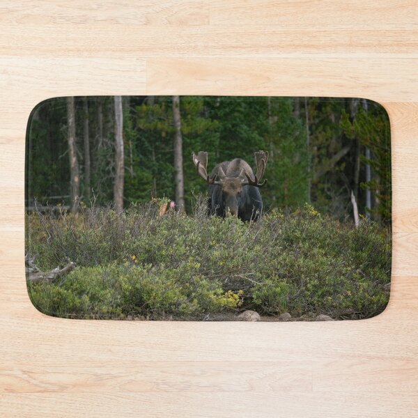 Item preview, Moose Eating Dinner  designed and sold by TMPhotograph.