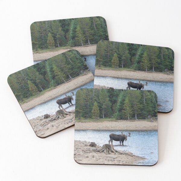 Item preview, Moose in Alpine Water   designed and sold by TMPhotograph.