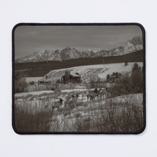 Item preview, Meet the Locals designed and sold by TMPhotograph.
