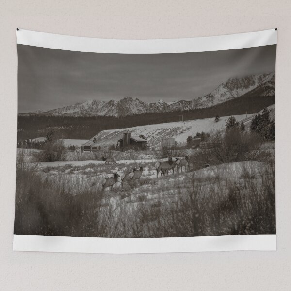 Item preview, Meet the Locals  designed and sold by TMPhotograph.