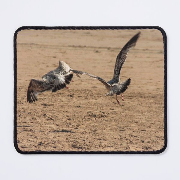 Item preview, seagulls on sandy beach designed and sold by Francespoppy.