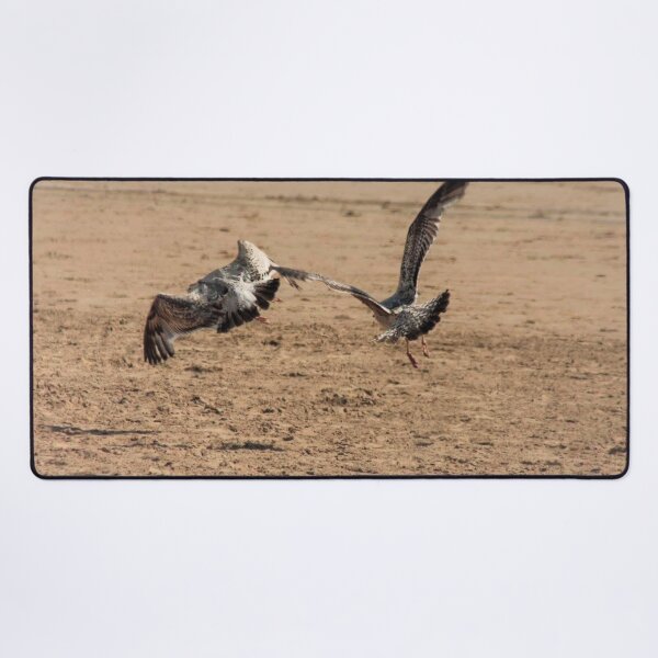 Item preview, seagulls on sandy beach designed and sold by Francespoppy.