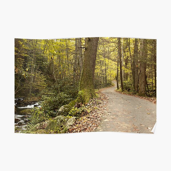 Roaring Fork Nature Trail Poster
