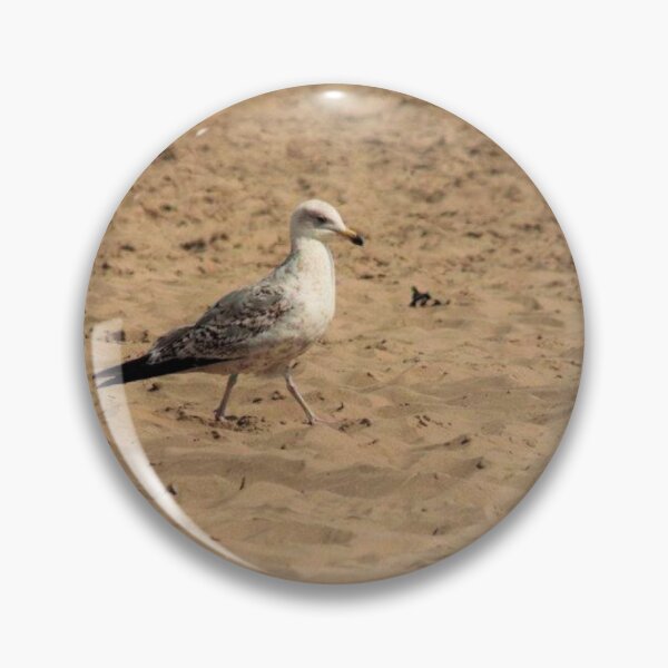 Item preview,  seagull on sandy beach designed and sold by Francespoppy.