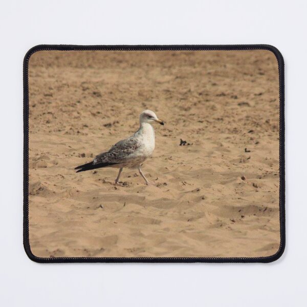 Item preview, seagull on sandy beach designed and sold by Francespoppy.