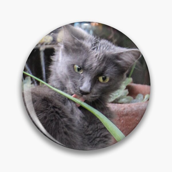 Item preview, Zoe Licks the Green Plant! designed and sold by heatherfriedman.