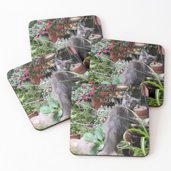 Item preview, Zoe Licks the Green Plant! designed and sold by heatherfriedman.