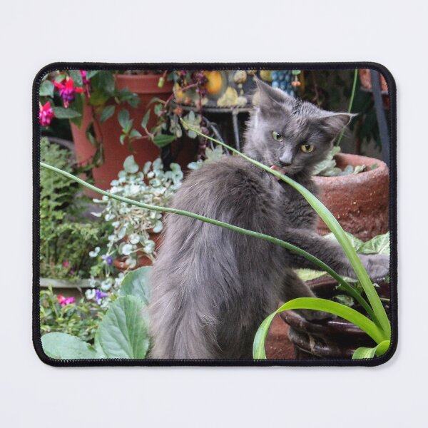 Item preview, Zoe Licks the Green Plant! designed and sold by heatherfriedman.