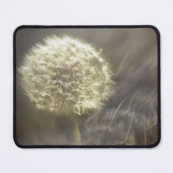 Item preview, dandelion designed and sold by Francespoppy.