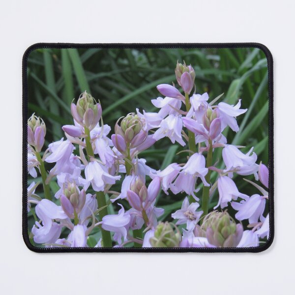 Item preview, Pink bluebells designed and sold by greentiger1.