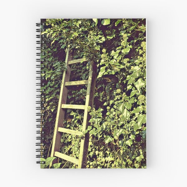 Item preview, Backyard in Roubaix designed and sold by delfmeunier.