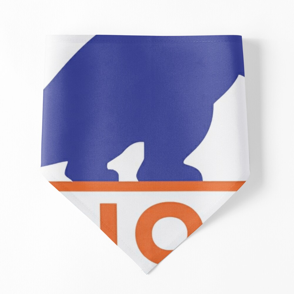 Denver Broncos Dog Bandana - Barking Bad