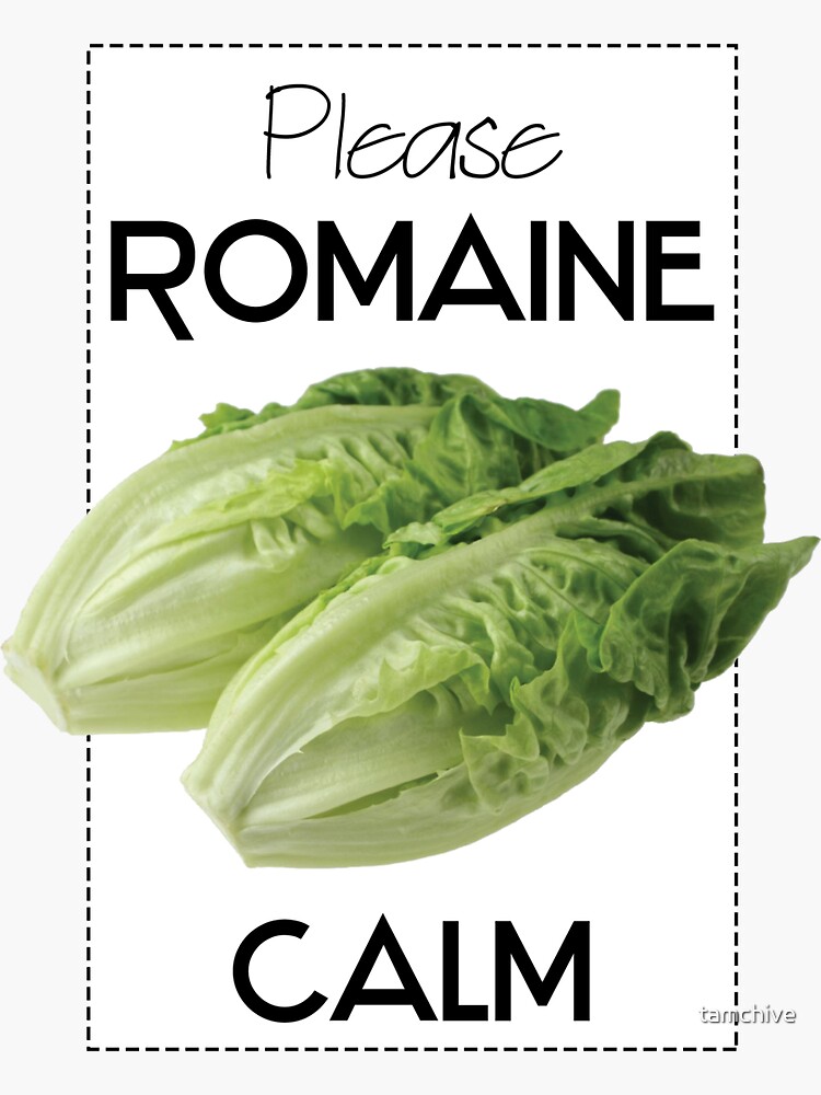 "Please Romaine Calm Veggie Pun" Sticker for Sale by Veggie-love ...
