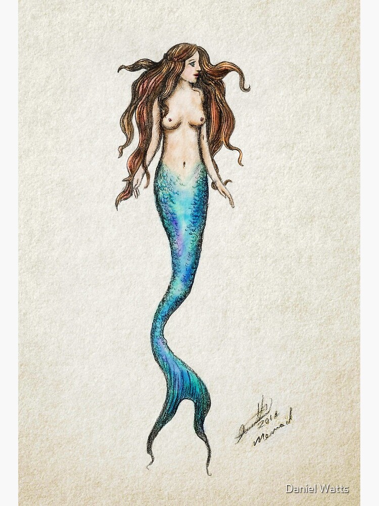 Premium Photo | Watercolor swimming mermaid clipart white background