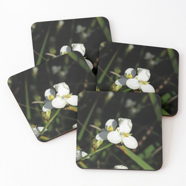 Item preview, Little white irises designed and sold by greentiger1.