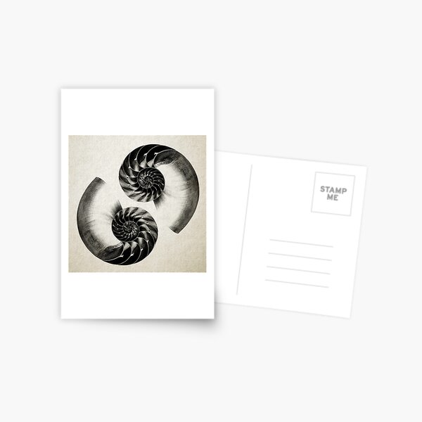Item preview, Nautilus Shell Lithograph  designed and sold by Daniel Watts.