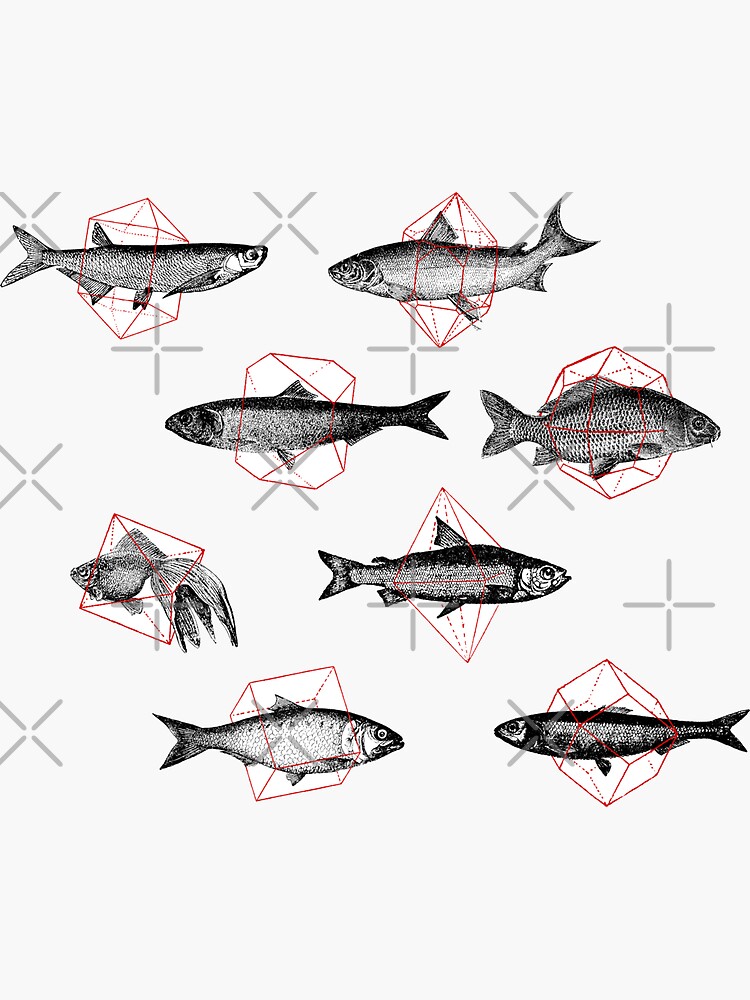 Fishes in Geometrics by florentbodart