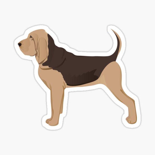 Bloodhound dog Sticker