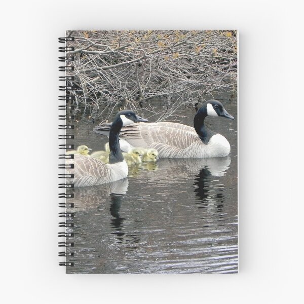 Item preview, Canadian Geese designed and sold by Martha Medford.