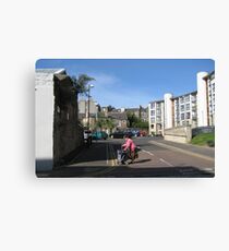 Independence Canvas Print