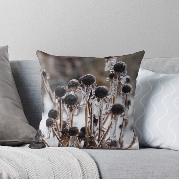 Item preview, Frozen Black Eyed Susans in an Ice Storm Aftermath designed and sold by Georgia Mizuleva.