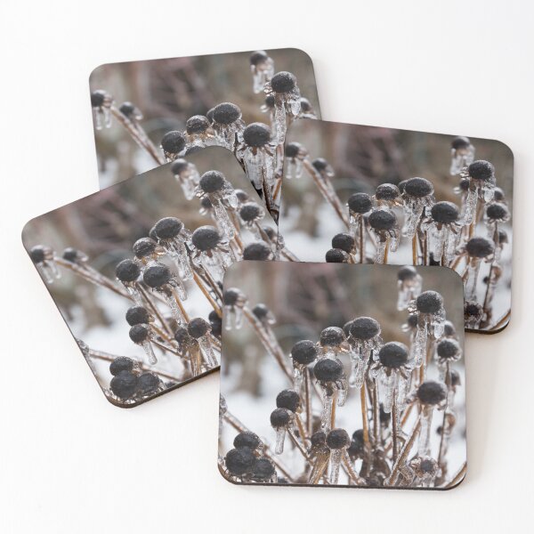 Item preview, Frozen Black Eyed Susans in an Ice Storm Aftermath designed and sold by Georgia Mizuleva.