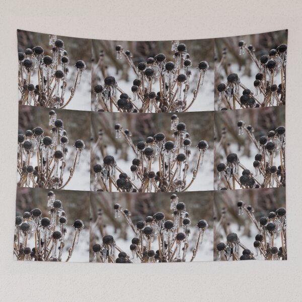 Item preview, Frozen Black Eyed Susans in an Ice Storm Aftermath designed and sold by Georgia Mizuleva.