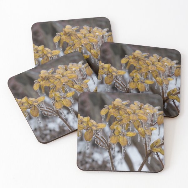 Item preview, Ice Storm Aftermath - My Garden in the Morning  designed and sold by Georgia Mizuleva.