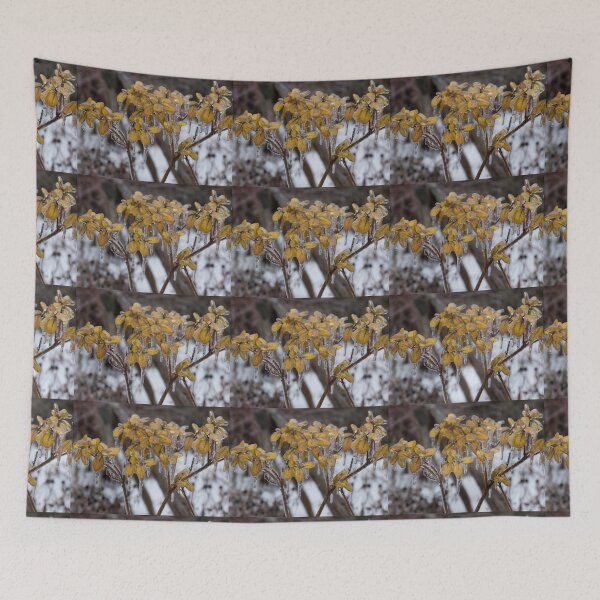 Item preview, Ice Storm Aftermath - My Garden in the Morning  designed and sold by Georgia Mizuleva.