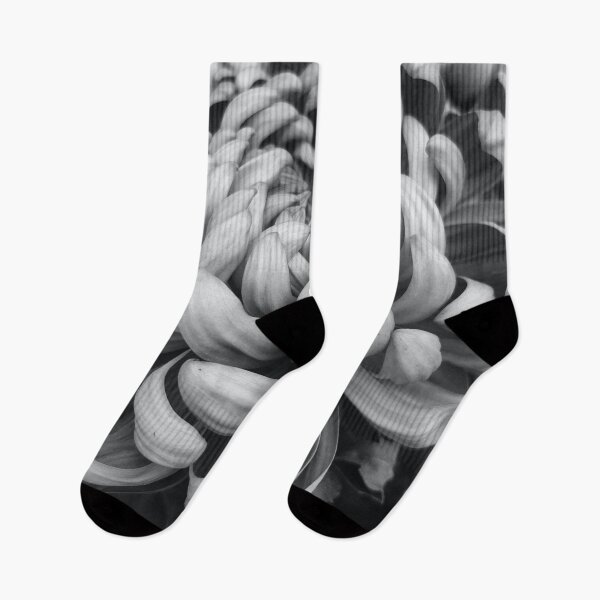 Item preview, Dark to Light designed and sold by Photomersion.