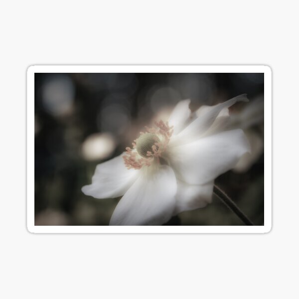 Item preview, Calming Anemone designed and sold by RichardSayer.