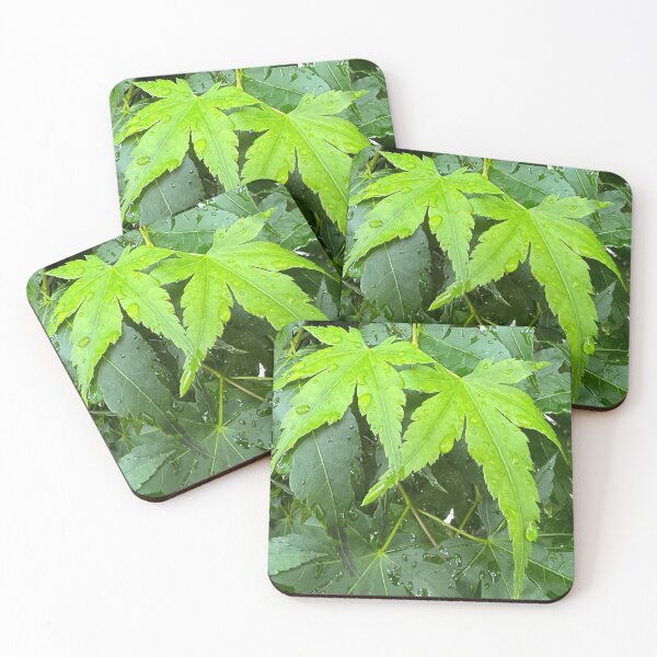 Item preview, Leaf it to Us to Be Together Thru Thick and Thin designed and sold by Photomersion.