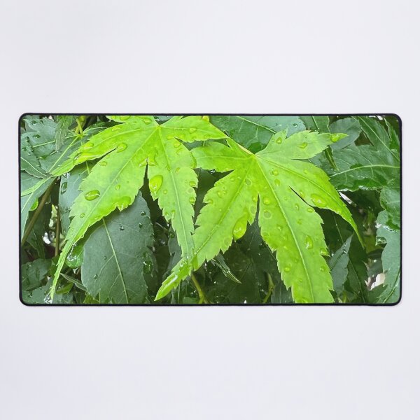 Item preview, Leaf it to Us to Be Together Thru Thick and Thin designed and sold by Photomersion.