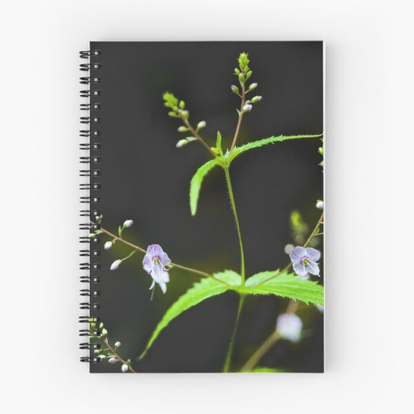Item preview, Dainty Herb designed and sold by metriognome.
