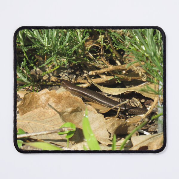 Item preview, Garden skink designed and sold by greentiger1.