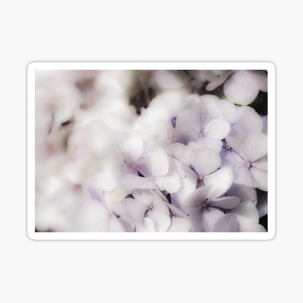 Item preview, Calming Purple Hydrangea designed and sold by RichardSayer.