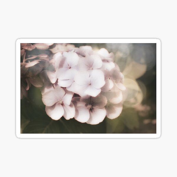 Item preview, Calming Vintage Hydrangea designed and sold by RichardSayer.