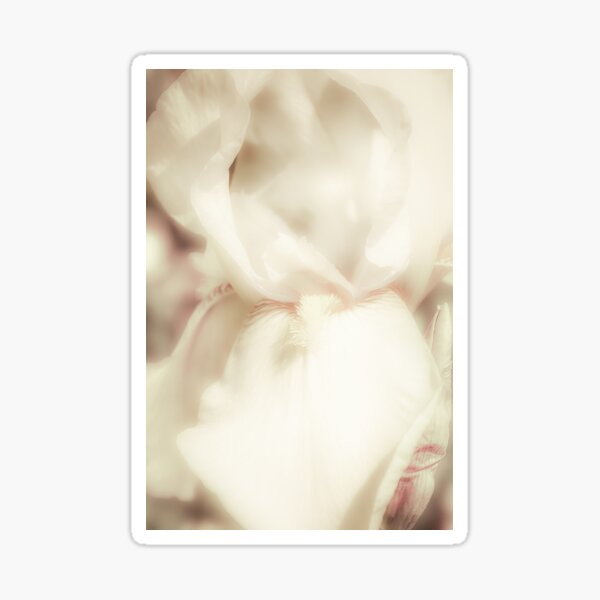 Item preview, Calming Yellow Iris designed and sold by RichardSayer.