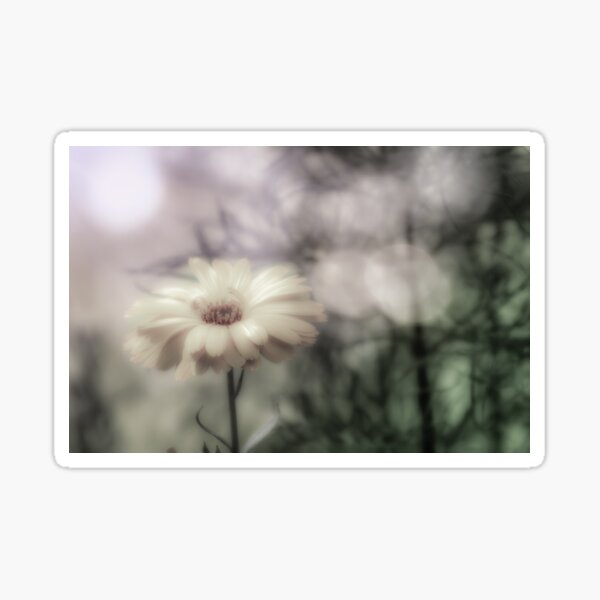 Item preview, Calming Marigold designed and sold by RichardSayer.