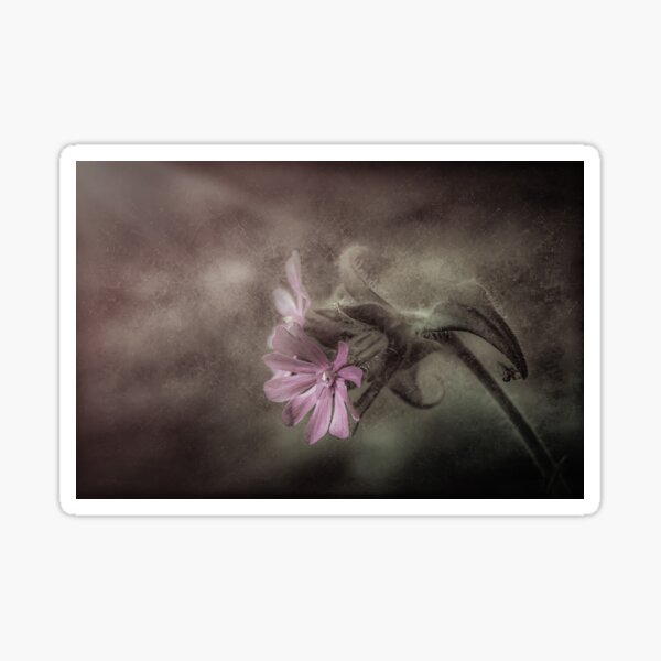 Item preview, Calming Pink designed and sold by RichardSayer.