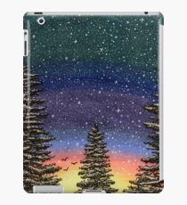 Vinilo o funda para iPad Spruce Sunset