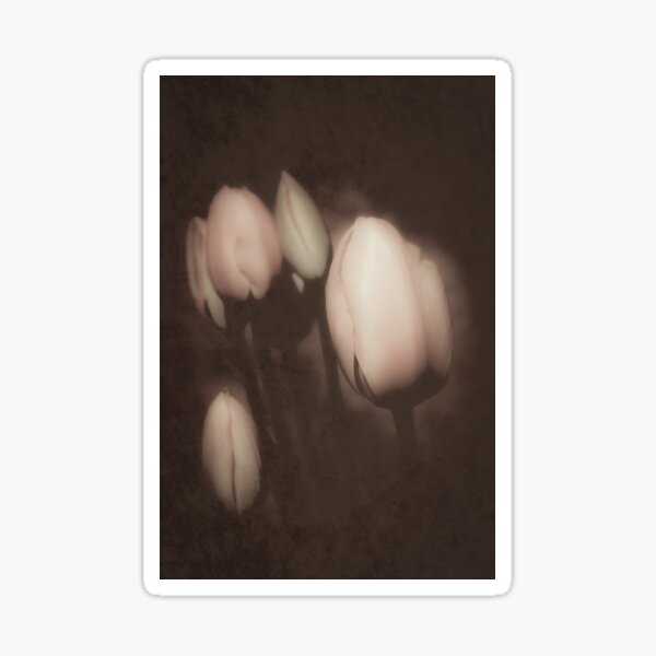Item preview, Calming Tulips designed and sold by RichardSayer.
