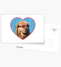 Doggo-Aufkleber: Schwimmer-Hund Postkarten