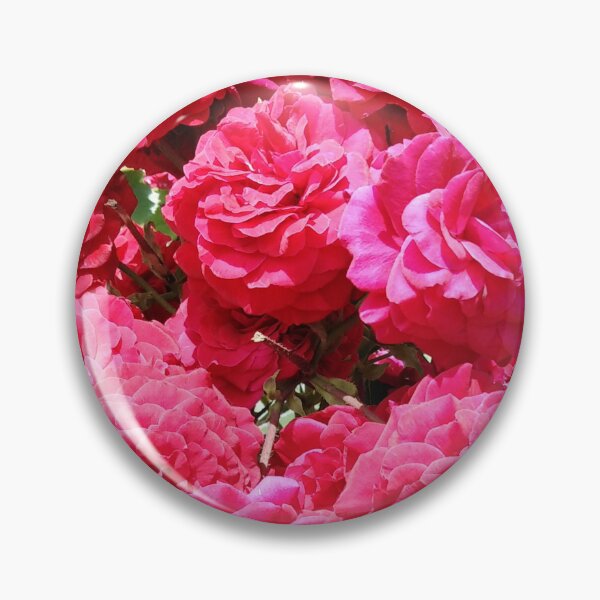 Item preview, Red roses and the sun - a simple but perfect life designed and sold by Raigitam.