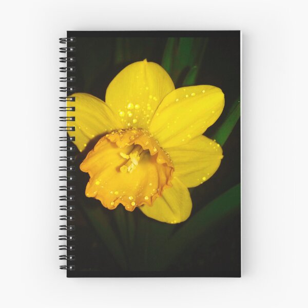 Item preview, Dew, Daffodil. designed and sold by OnigiriSuiko.