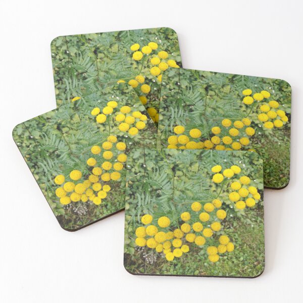 Item preview, Sunbeams in the forest - you try to catch them designed and sold by Raigitam.
