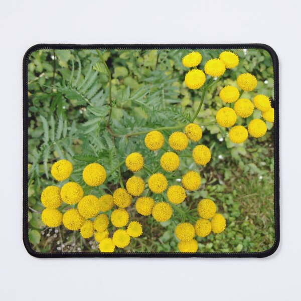 Item preview, Sunbeams in the forest - you try to catch them designed and sold by Raigitam.